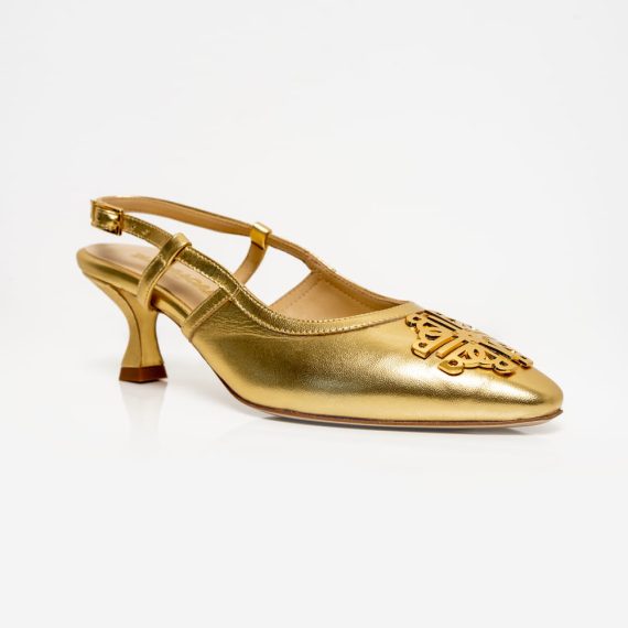 Shoee_Gold_2[1]